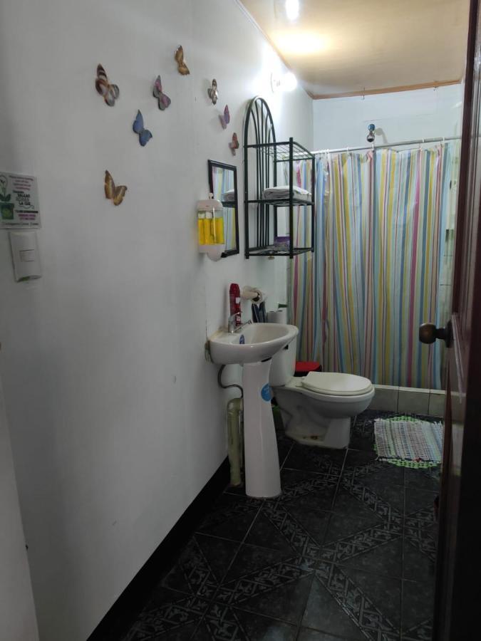 Tortuguero Casa De Playa Green House Apartamento Exterior foto