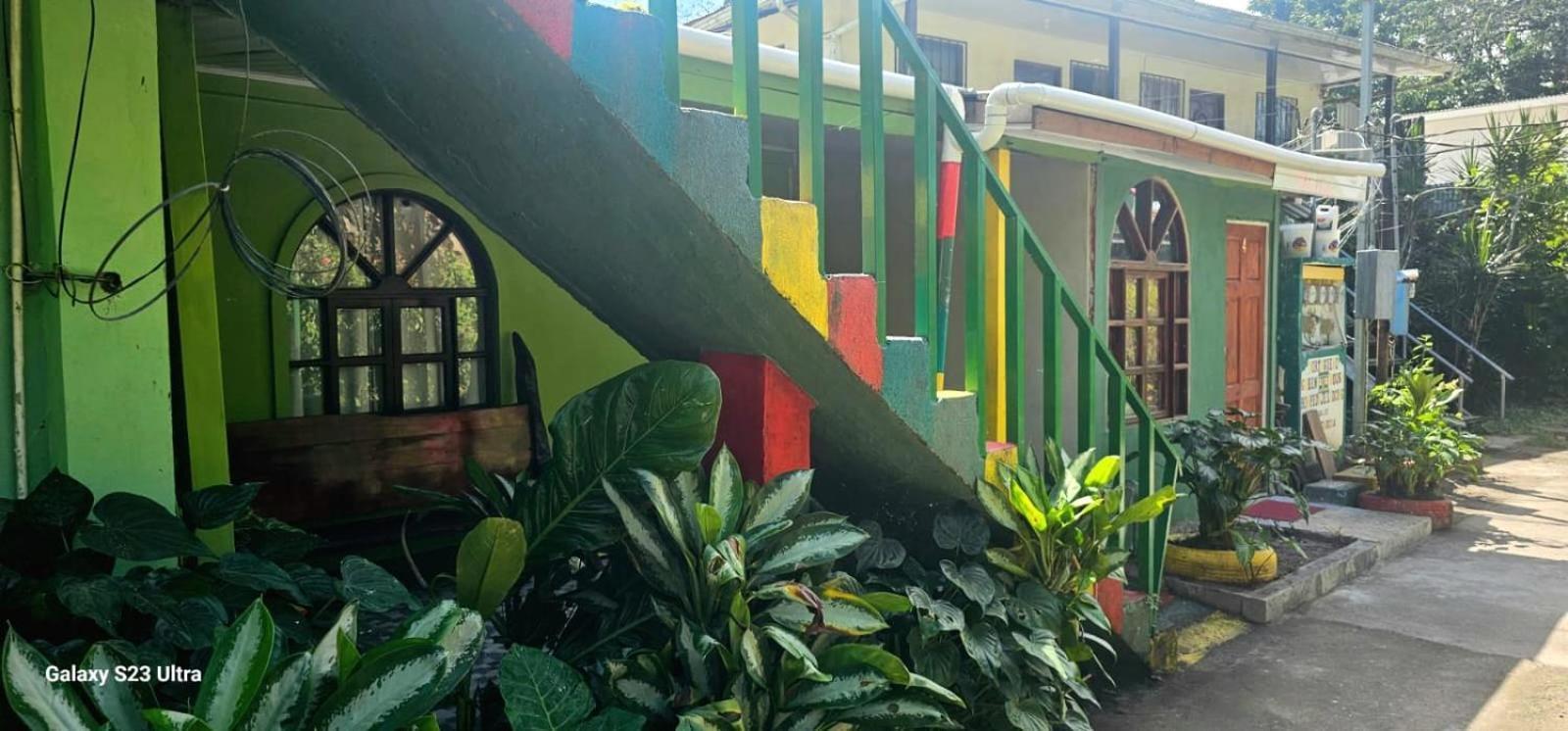 Tortuguero Casa De Playa Green House Apartamento Exterior foto